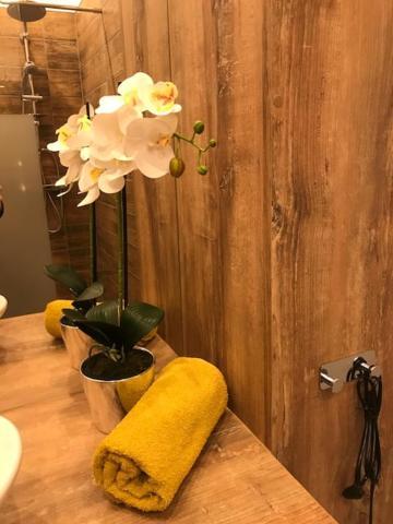 Apartament Gosia 尼萨 外观 照片